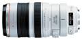  Canon EF 100-400 mm F 4,5-5,6 L IS USM